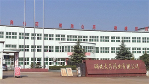 湖北太子药业有限星空手机网页版登录入口用户现场